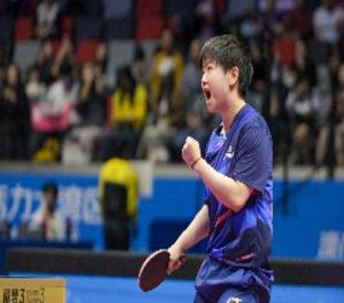 约62万元!孙颖莎夺冠获得9万美元奖金,王曼昱奖金5万美元