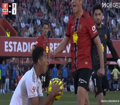 ������(8883��AMG)�ٷ���վ