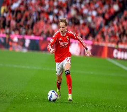 ��ý�����ƿ�������л����³����Լ������������Ա��������