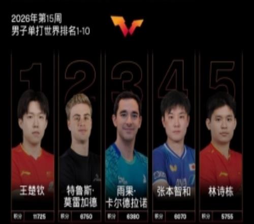 ����ƹ��2026���15��������������ӱɯ������������