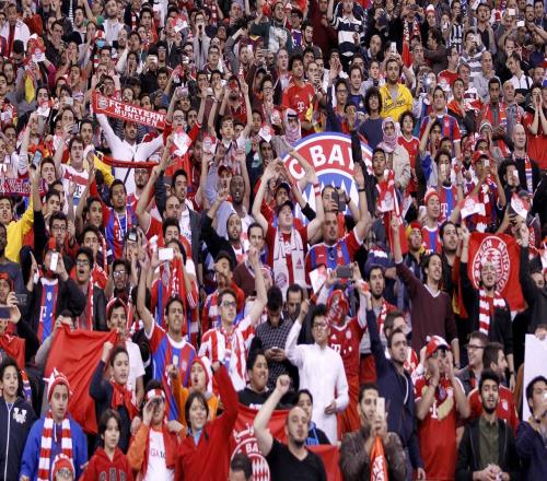 ������(8883��AMG)�ٷ���վ