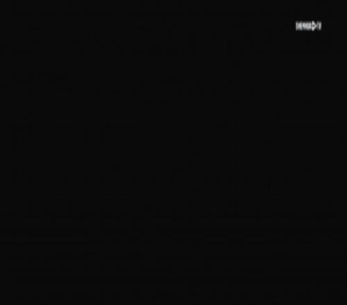 �����Ż�23�Ϻ��껨MatchDay�����ռ�ʵ