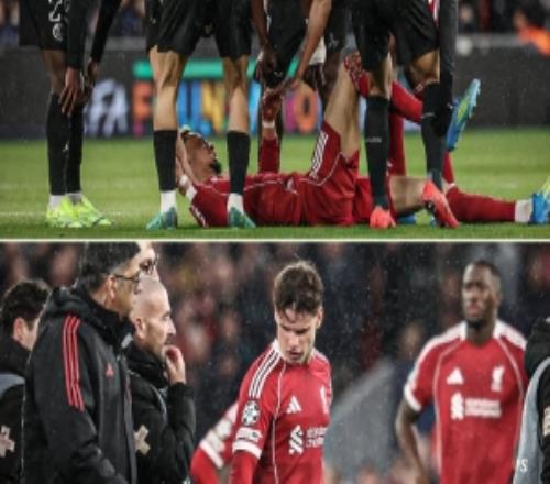 �޶Կ����ˣ���ý�������ٿ˵ĸ������û�����������ѱ���