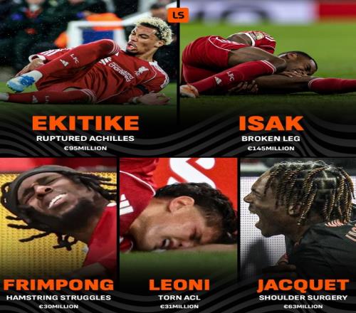 ������(8883��AMG)�ٷ���վ