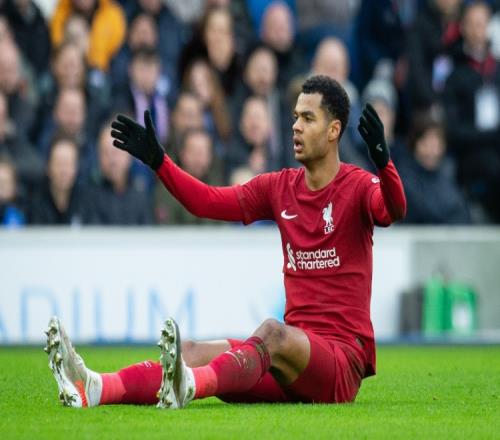 ������(8883��AMG)�ٷ���վ