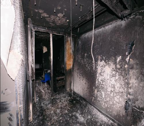 ������(8883��AMG)�ٷ���վ