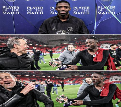 ������(8883��AMG)�ٷ���վ