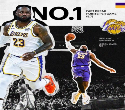 ������(8883��AMG)�ٷ���վ