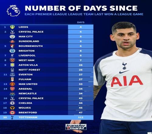 ������(8883��AMG)�ٷ���վ