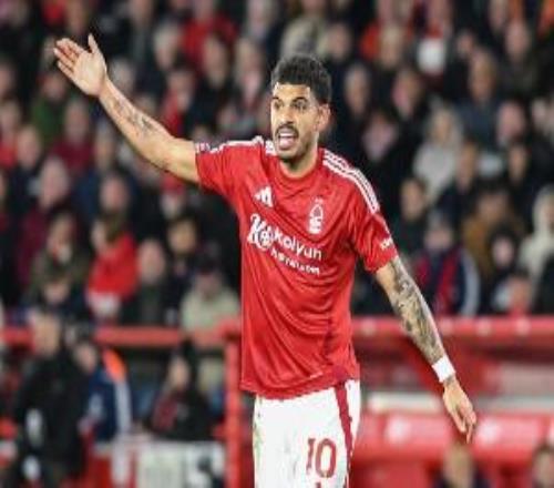 吉布斯怀特英超戴帽是诺丁汉森林队史第3人，此前仅坎贝尔和伍德