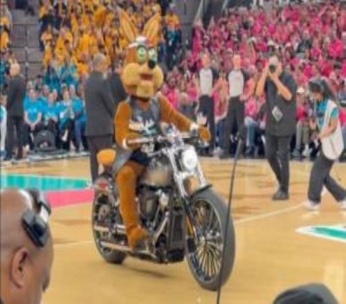 马刺吉祥物身披机车外套开着摩托车巡视球场！队记：一股汽油味！