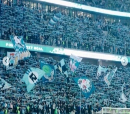 斯坦丘盛赞主场氛围：我以为我已经见到过一切，直到大连