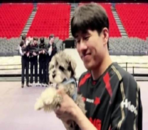 战胜IG后JDG发布视频：七小只带多宝版误闯北神树主场