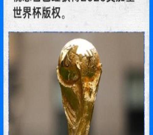 赵宇：世界杯版权买的话肯定是两届，至于价格可以参考前两届