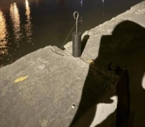 Xun深夜散步晒河边随拍，并提问：这是什么