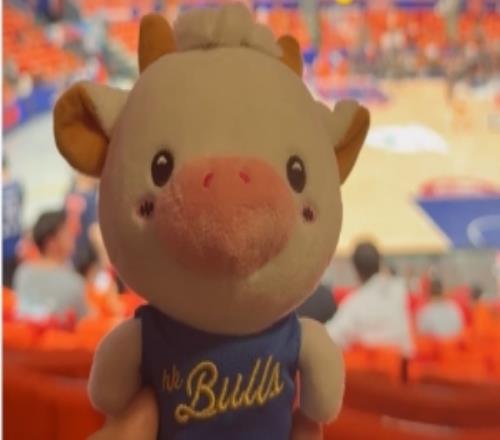 香港金牛当家球星“LaBullBull”来感受CBA总决赛强度和氛围啦