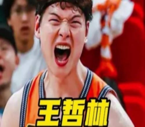 王哲林辟谣删朱芳雨微信：被盗号删了几百个好友我妈都被删了