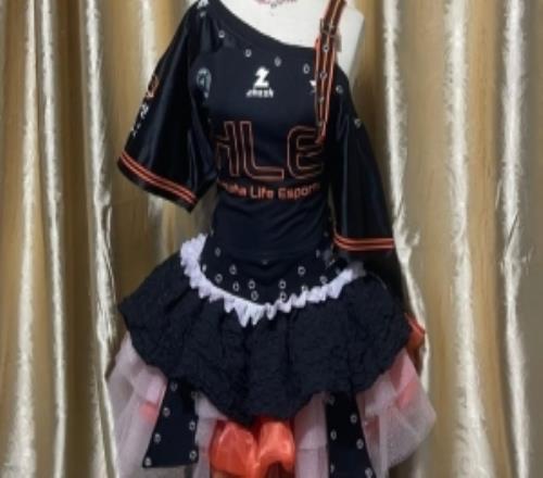 真该让Kanavi、Guma穿一下！越南粉丝改造HLE队服