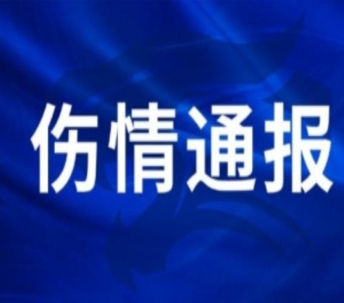 王毅右膝外侧副韧带损伤,陈哲超腓骨肌腱、外踝韧带损伤