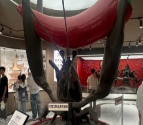 EDG打野xiaohao晒旅游照片：旅行，日常碎片！