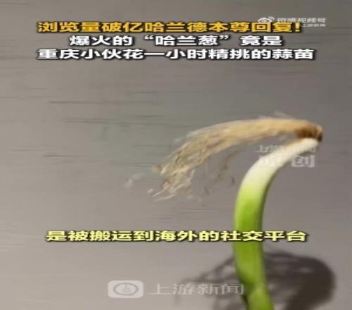 cos哈兰德的是蒜苗不是葱！重庆小伙才是原作者视频被偷浏览破亿