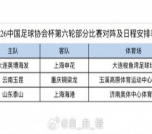 博主分享足协杯3场14决赛时间：泰山vs海港9月1日1935开球