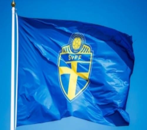 北欧六国足协联合声明：对因凡蒂诺失信FIFA赛事不能向私人开放