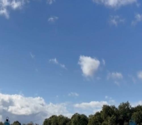 本赛季各项赛事仅1次进场，里沙利松社媒晒训练场上照片