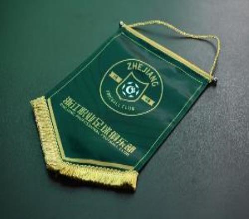 记者：浙江FC选聘总司理进入尾声，多名前国脚进入面试